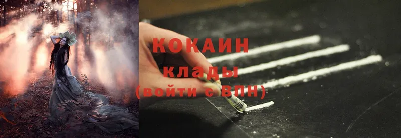 ссылка на мегу зеркало  Болотное  Cocaine Эквадор  продажа наркотиков 