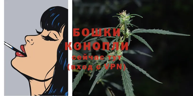 МЕГА как войти  Болотное  Бошки Шишки SATIVA & INDICA 